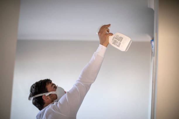 Best Mold Damage Repair  in Frazier Park, CA