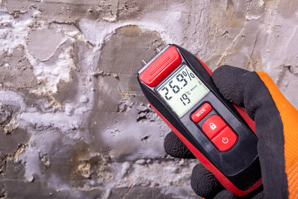Best Certified Mold Removal  in Frazier Park, CA